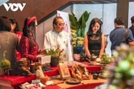 Noodle Museum debuts in HCM City, showcasing Vietnam’s iconic dish