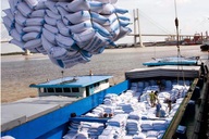 Vietnam to proactively reduce rice exports from 2026
