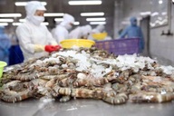 US lowers final anti-dumping duties on Vietnamese shrimp following review