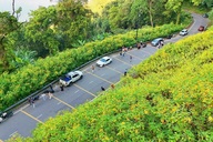 Hanoi scales back Ba Vi safari proposal to 300 hectares