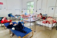 Salmonella found in ingredients linked to Gia Lai banh mi outbreak
