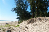 Quang Tri steps up fight against coastal erosion