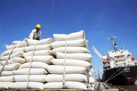 Vietnam boosts rice exports to Singapore