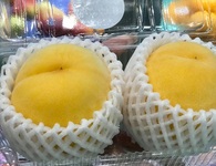 Quả đào xứ "mặt trời mọc" giá gần 1 triệu/cặp "hút" nhà giàu Việt