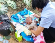 Trung Quốc: Tìm thấy em bé bên vệ đường đang khóc vì bị cả bầy kiến cắn