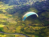 3 thiên đường “mùa vàng” ở Tây Bắc, đến khách Tây cũng “mê như điếu đổ”