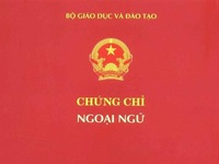 Thêm 9 trường đại học phải dừng cấp chứng chỉ ngoại ngữ, tin học