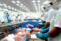 Việt Nam xuất siêu kỷ lục: Công lớn thuộc khối FDI