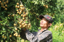 Trung Quốc cam kết tạo điều kiện xuất khẩu cho nông sản Việt Nam