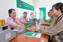 Tháo gỡ “điểm nghẽn” về vay vốn tạo việc làm