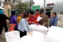Xuất cấp hơn 7.300 tấn gạo cho 9 địa phương dịp Tết Nguyên đán và giáp hạt