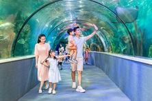 Gợi ý các địa điểm chơi Tết Nguyên đán 2024