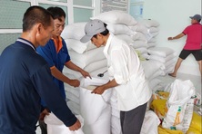 Tiếp tục xuất cấp hơn 1.444 tấn gạo cho 5 địa phương