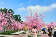 Đà Nẵng: Nhiều hoạt động hấp dẫn du khách dịp Tết Giáp Thìn 2024