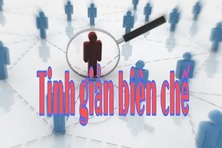 Thanh Hóa có gần 300 người thuộc diện tinh giản biên chế