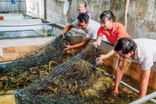 “Cánh tay nối dài” giúp nguồn vốn vay đến đúng đối tượng người nghèo