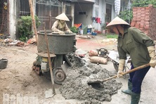 Nhiều chính sách hỗ trợ chuyển dịch việc làm cho lao động nông thôn
