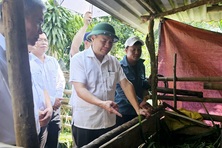 A Lưới cần quan tâm hỗ trợ sinh kế, giải quyết việc làm cho người dân