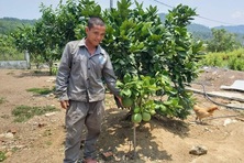 Bắt sỏi đá “nở hoa”
