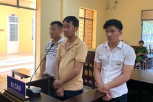 Lĩnh án tù vì sử dụng Giấy chứng nhận nghỉ việc giả để hưởng BHXH