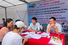 Tăng cường giới thiệu việc làm cho người lao động