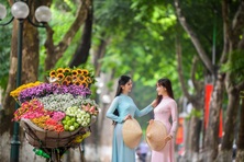 Giải thưởng Du lịch Thế giới 2024: Việt Nam được đề cử ở nhiều hạng mục