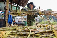 Lao động nông thôn được tạo điều kiện học nghề