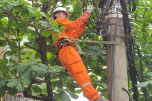 Ninh Bình: Tai nạn lao động còn diễn biến phức tạp