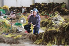 64,8% lao động phi chính thức cần được phủ lưới an sinh