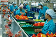 Nhảy việc vì lương cao hơn cho công việc tương tự: Lãng phí không đáng có