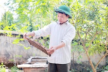 Bắc Giang: Đa dạng hoá sinh kế giúp dân thoát nghèo