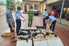 Bất an những vụ ngộ độc thực phẩm