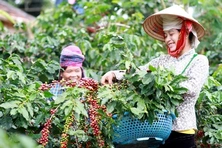 Đẩy nhanh tiến độ giải ngân đầu tư công các chương trình mục tiêu quốc gia