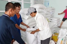 Xuất cấp gạo hỗ trợ Nhân dân 3 tỉnh dịp giáp hạt năm 2024