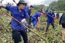 Thanh niên Đà Nẵng tổ chức nhiều hoạt động an sinh xã hội vì cộng đồng