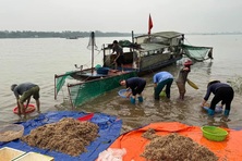 9 xã được ra khỏi Danh sách xã đặc biệt khó khăn vùng bãi ngang, ven biển