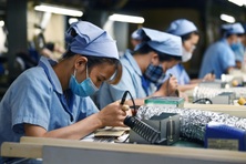 6 tháng đầu năm: Gần 52 triệu lao động có việc làm, tăng 195,7 nghìn người