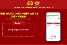 Tạm giữ giấy tờ trên môi trường điện tử, bản cứng đồng thời cũng bị vô hiệu