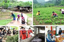 Sửa đổi quy định chuẩn nghèo đa chiều