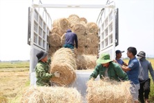 Thành tỷ phú nhờ… rơm rạ