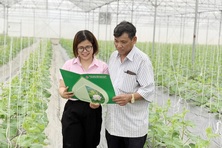 Tín dụng chính sách góp phần giảm tỷ lệ hộ nghèo ở Thanh Hóa