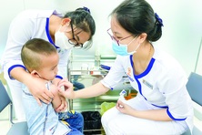 Không chủ quan với bệnh viêm não Nhật Bản