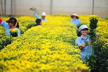 Hỗ trợ lao động Việt tìm được việc làm tốt trong môi trường minh bạch cao