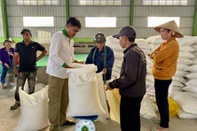 Hơn 21.300 tấn gạo cứu đói cho người dân trong 7 tháng đầu năm