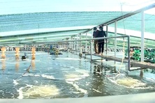 Ninh Bình: Hỗ trợ đa chiều, giảm nghèo bền vững