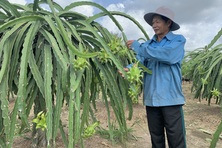 Xưa thắng giặc, nay thắng nghèo