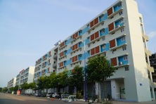 Giới trẻ ngại cưới, lười sinh con vì nỗi lo mua nhà