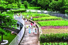 Chuyển đổi xanh ESG trong trường học