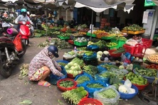 Thực phẩm cung ứng sau bão đầy đủ, giá rau xanh tăng nhẹ