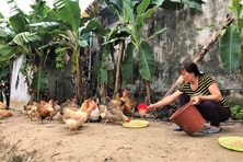Quảng Ninh tăng cường chính sách hỗ trợ người khó khăn, yếu thế